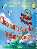 TLV: Kể về gia đình