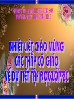cây đa quê hương