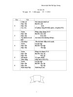 Gián án giáo án lớp 1 tuần 20 CKTKN