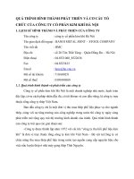 QUÁ TRÌNH HÌNH THÀNH PHÁT TRIỂN VÀ CƠ CẤU TỔ CHỨC CỦA CÔNG TY CỔ PHẦN KIM KHÍ HÀ NỘI