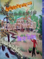 Bài giảng Từ Ngữ về Loài chim -Lớp 3