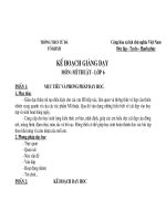 Bài soạn Kế hoạch giảng dạy MT 6