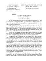 Tài liệu CV Đón tết Tân Mão