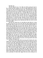 bài  viết thư UPU năm 2009 giải KK