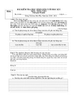 ĐỀ THI HSG LỚP 4 - CUỐI HK I (2010-2011)