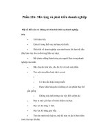 Phần 12b: Mở rộng và phát triển doanh nghiệp