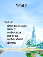 Hình thức nhật ký sổ cái 