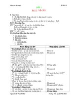 Tài liệu GIÁO ÁN MT TUẦN 15