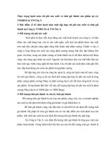 Thực trạng hạch toán chi phí sản xuất và tính giá thành sản phẩm tại cty TNHHSX & TM Tân Á