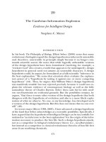 The Cambrian Information - Explosion Evidence for Intelligent Design