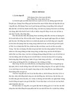 đề cương nghiên cứu văn hóa quảng nam