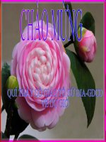 Tôn giáo Việt Nam