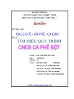 công nghệ chế biến cà phê bột