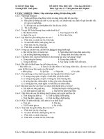 Tài liệu Đề văn 11 HK I 2010-2011