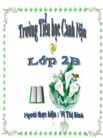 Từ chỉ hoạt động trạng thái dấu phẩy