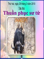 Bài soạn Thuần phục Sư Tử