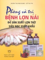 Phòng và trị bệnh lợn nái để sản xuất lợn thịt siêu nạc xuất khẩu