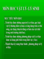 Bài soạn bai giảng tổng hợp