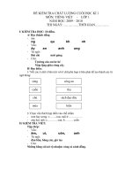 De - dap an Tieng Viet 1 HKI