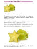 Tài liệu Lợi ích từ khế chua