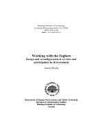 Working with the Fogbow Design and reconfiguration of services and participation in e-Government