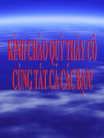 bài 2: Các thành Phần Chính và Dữ liệu trên trang tính