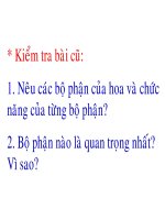 Bài 29. Các loại hoa