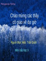 Bài soạn bài giảng hóa học 8