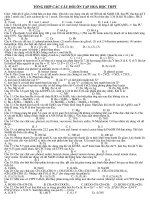 BT TONG HOP ON HOA 12