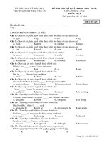 Đề Thi Tiếng Anh 10_HKI (2009-2010)