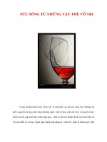 SỨC SỐNG TỪ NHỮNG VẬT THỂ VÔ TRI