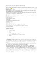 Phương pháp phát hiện và phòng tránh virus