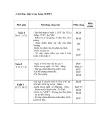 Gián án lịch thục hiện tháng 12 và 1-2011