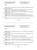 Phạm Thị Hồng Lâm