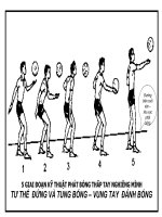 Tài liệu Hình minh họa B/chuyền/N.xa lớp 8