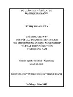 Mở rộng cho vay đối với các doanh nghiệp du lịch chi nhánh ngân hàng nông nghiệp và phát triển nông thôn tỉnh quảng nam 