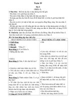 Bài giảng lop 5 t19 chieu