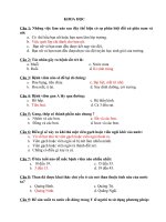 Đề thi giao lưu HSG L5