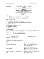 Gián án Giáo án tuần 20(10-11)