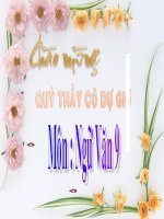 Gián án Các thành phần biệt lập (tt)