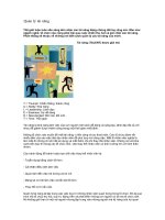 Quản lý tài năng