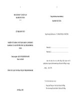 Nghiên cứu động cơ sử dụng dịch vụ internet banking của người tiêu dùng tại thành phố đà nẵng  