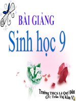 Tiết 30_BỆNH VÀ TẬT DT Ở NGƯỜI