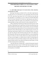 TÌNH HÌNH HOẠT ĐỘNG CỦA NGÂN HÀNG CÔNG THƯƠNG CHI NHÁNH CẦN THƠ