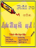 Rủi ro của các ngân hàng thương mại n3 