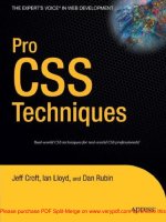 Pro CSS Techniques- P1