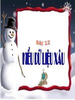 Bài giảng bai 12 kiểu xâu