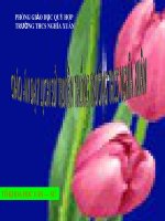 GA truyền thống nhà trường