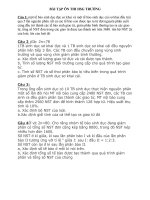 on thi hsg truong 11