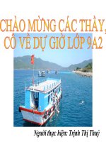 Thương mại du lịch